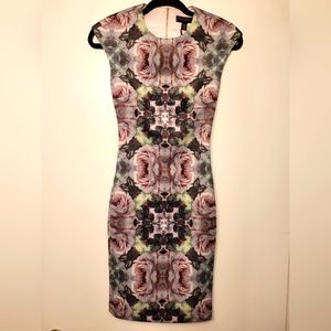 NWT Ted Baker London Cambree dress, size 0,